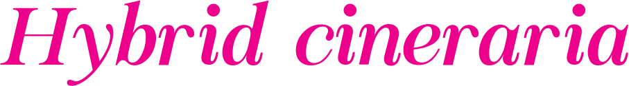 generated_text (2).png