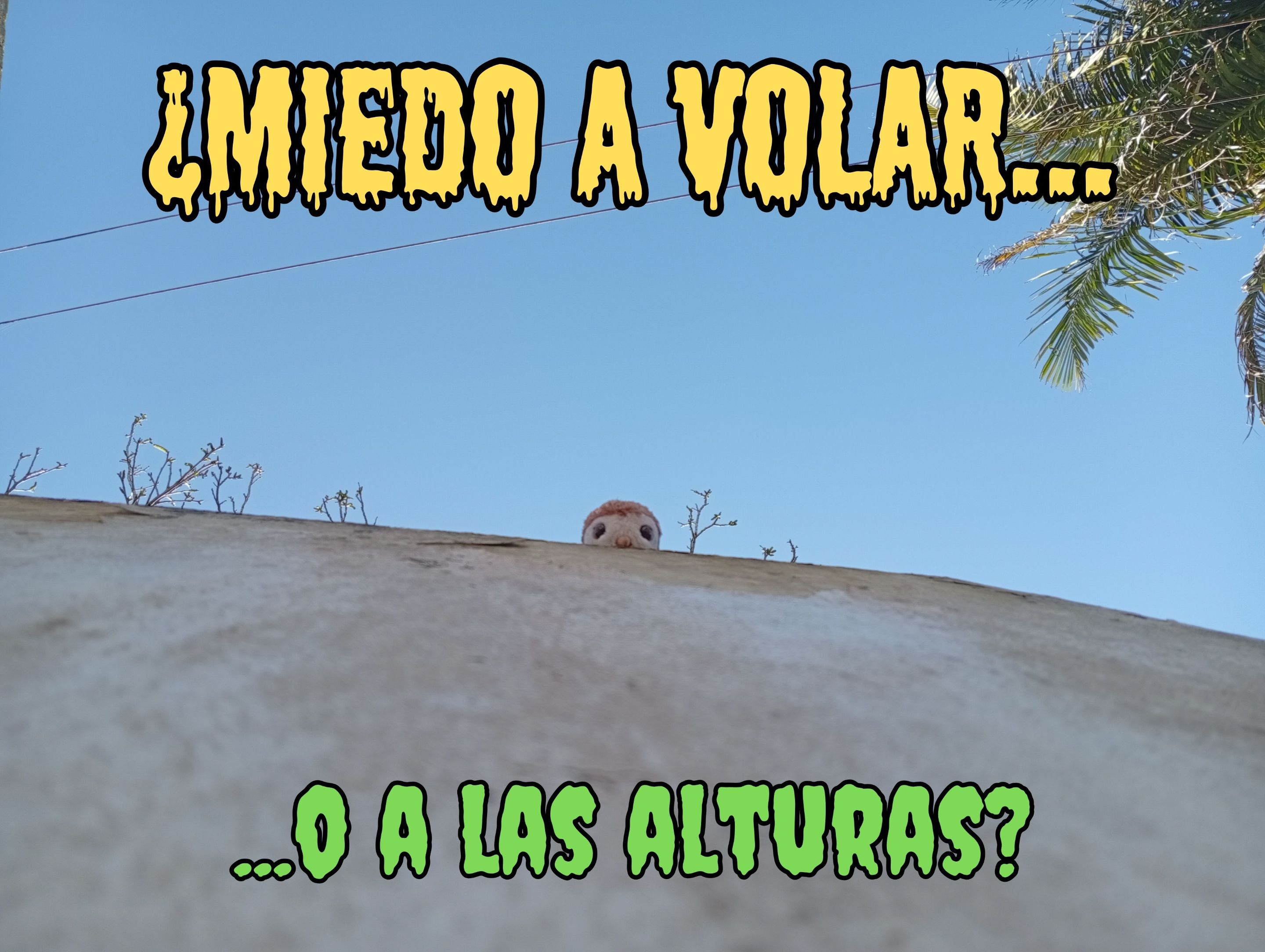 ¿Miedo a la oscuridad....jpg