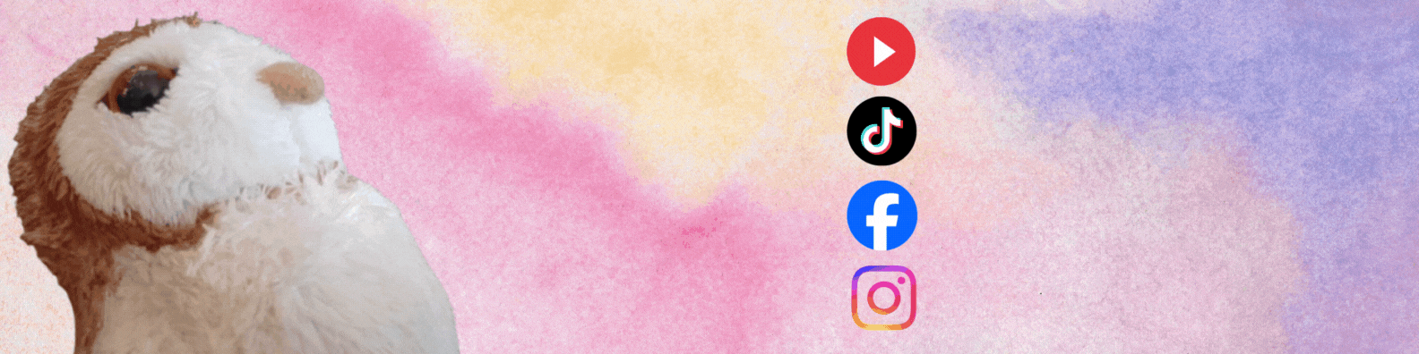 Pink Minimalist Watercolor Background Linkedin Banner.gif