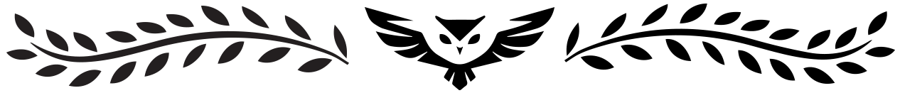separador1 (1).png