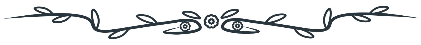 separador5.png