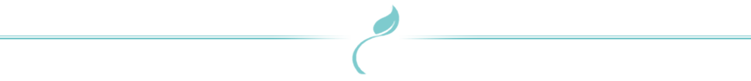 separador2.png