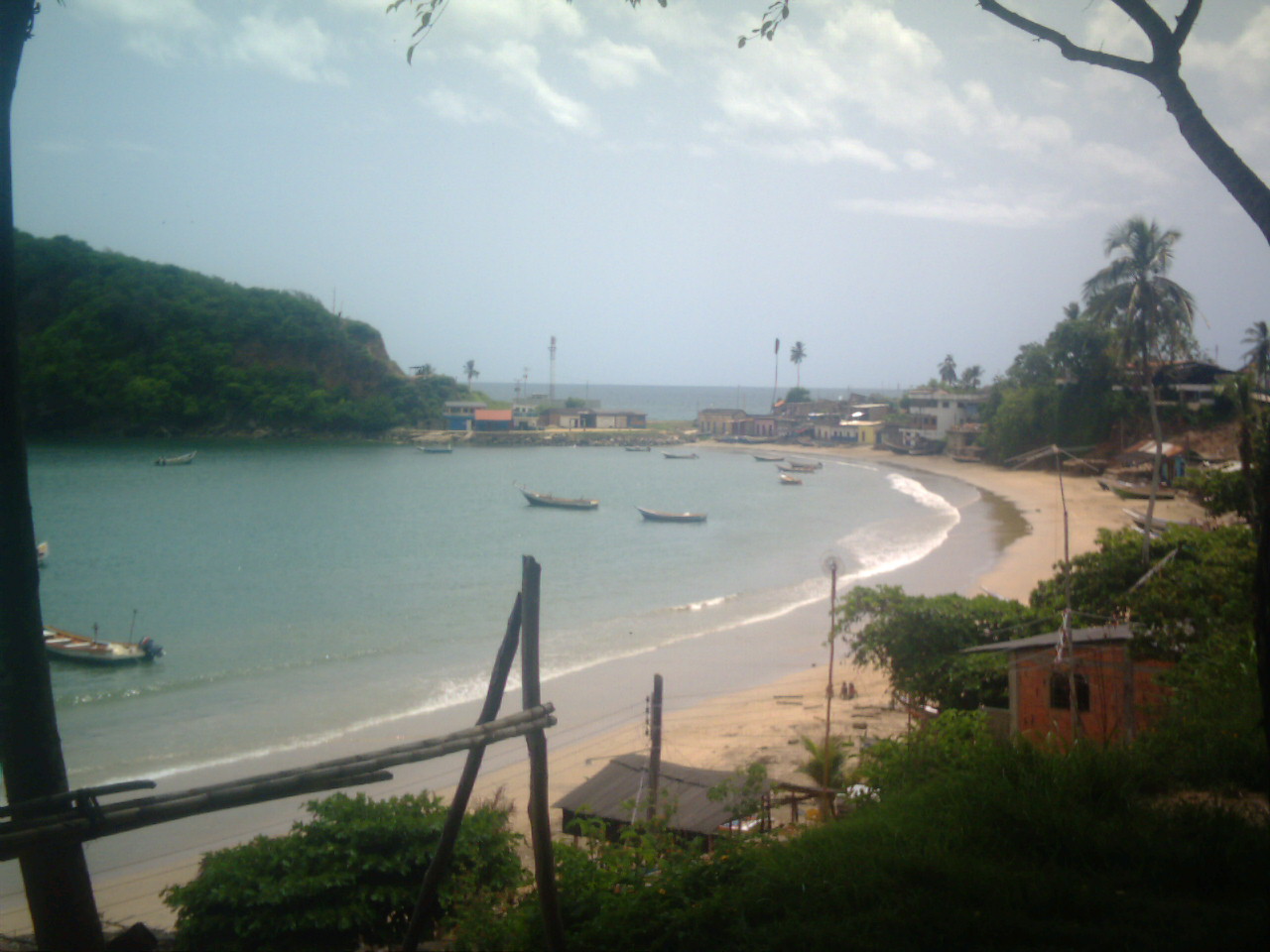 IMAG0091.JPG