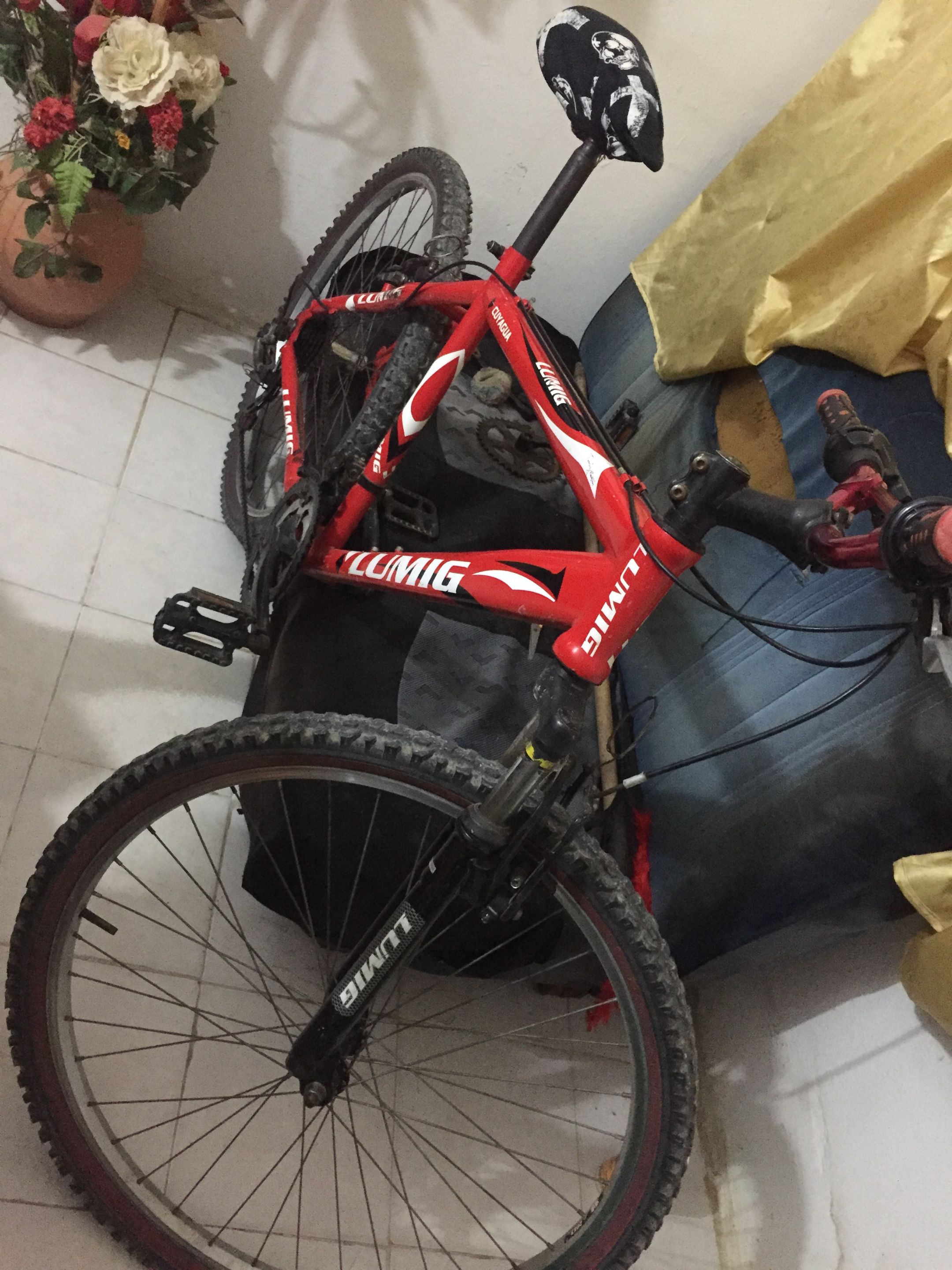 IMG_1951 (1).JPEG