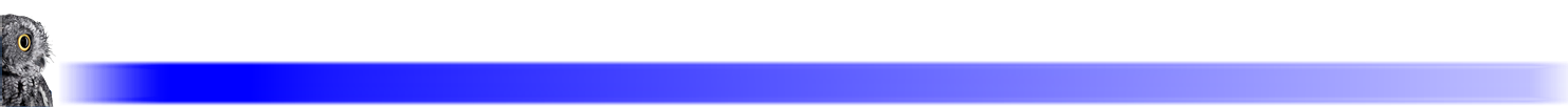 Qa2YHWo1-buhoizquierdo.png
