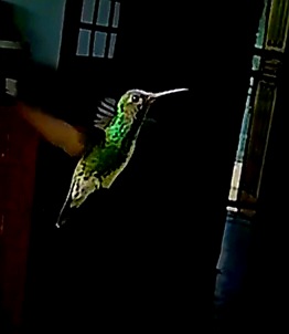 20250920_082818(7)(1)(1).jpg
