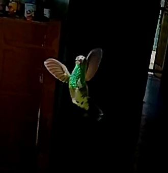 20250920_082818(29).jpg