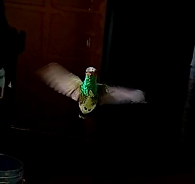 20250920_082818(28).jpg