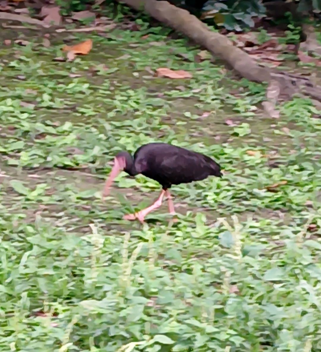 20250827_111914.jpg