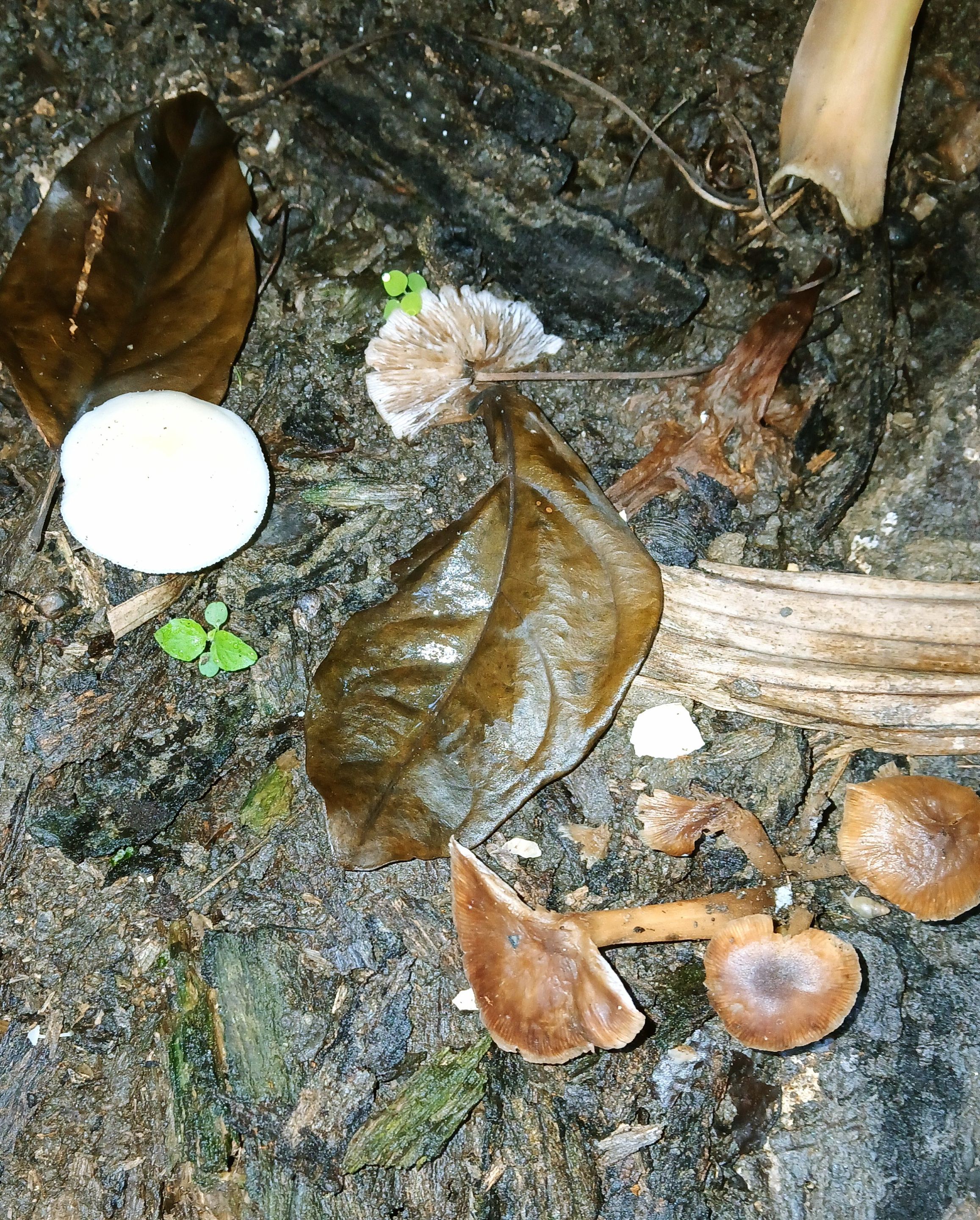 20250916_075816.jpg