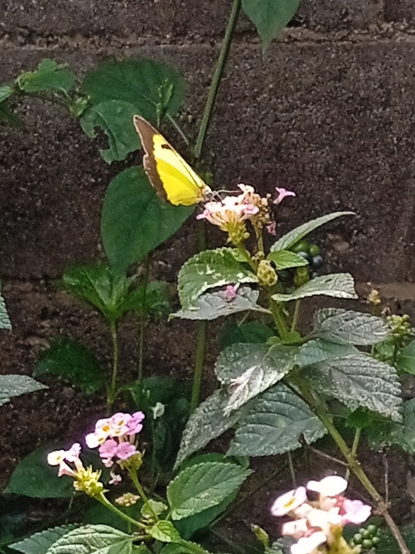 IMG_20220710_160222.jpg