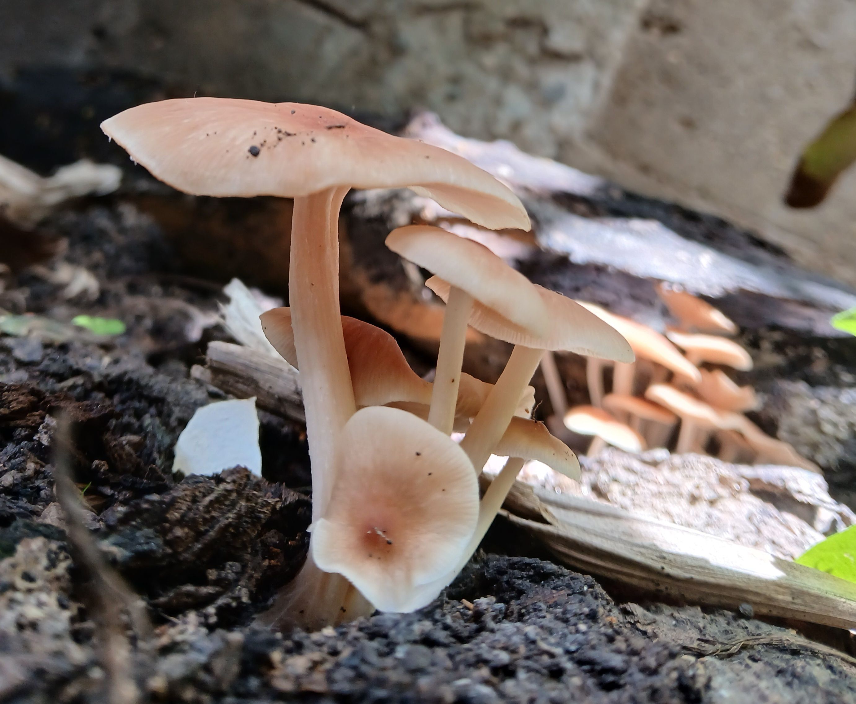 20250912_103757.jpg