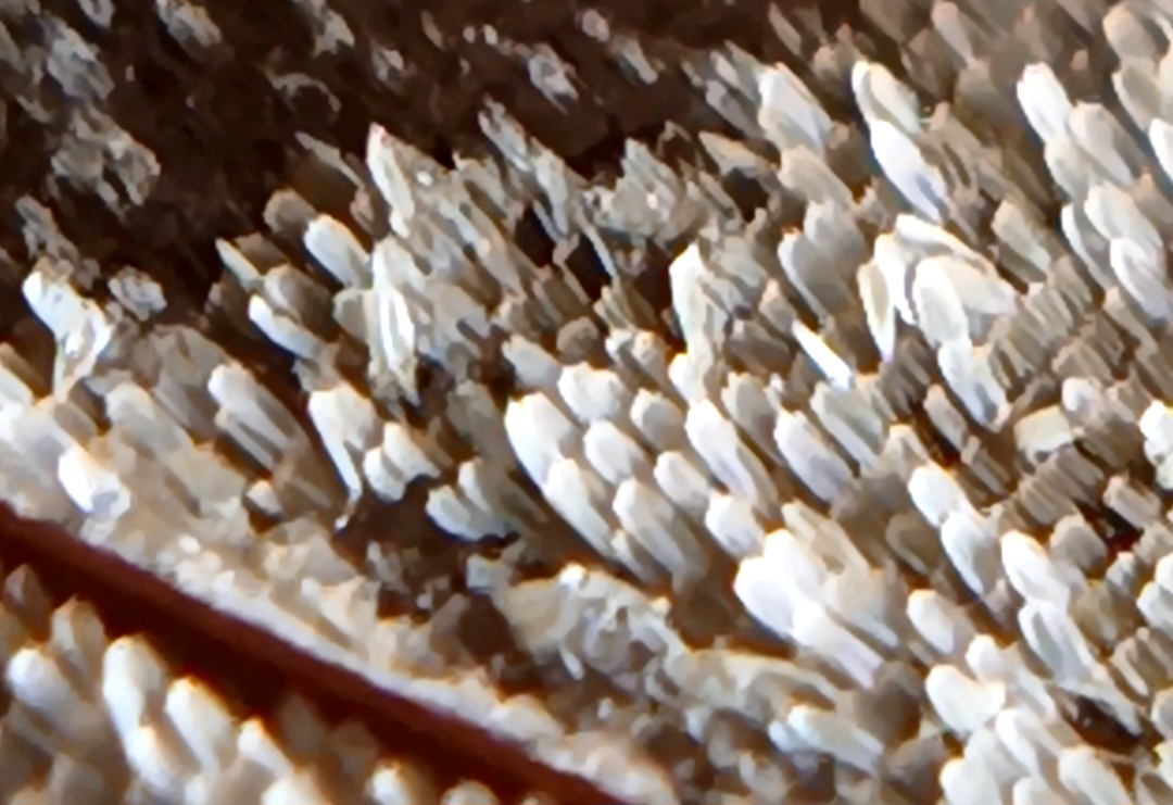 20250809_094734.jpg
