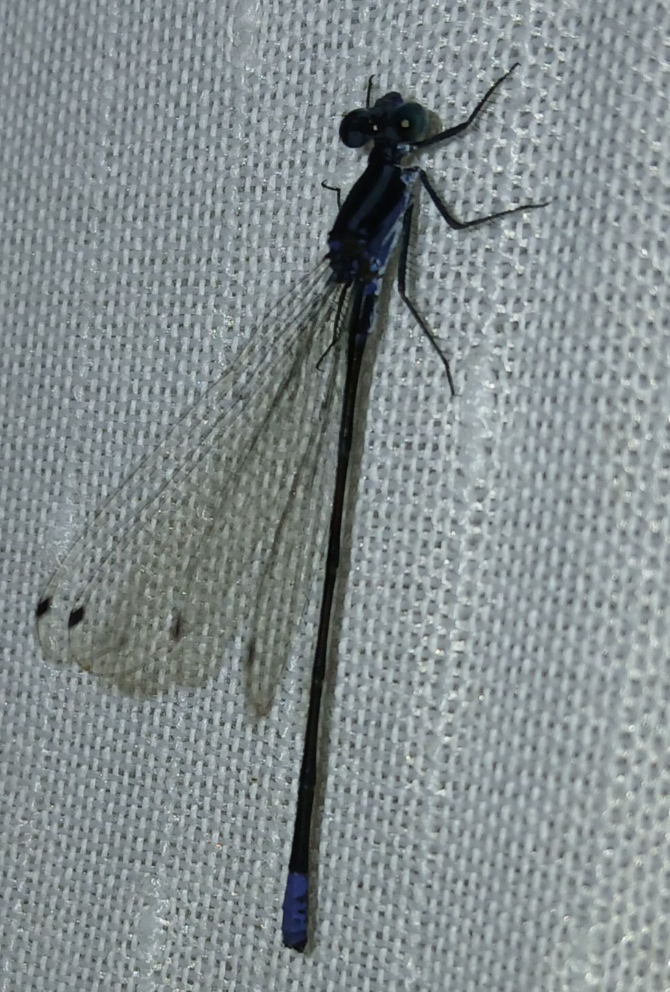 20250902_115952.jpg