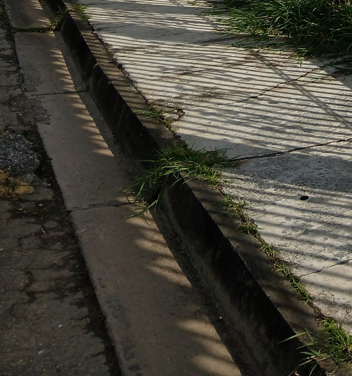20250816_090830~2.jpg