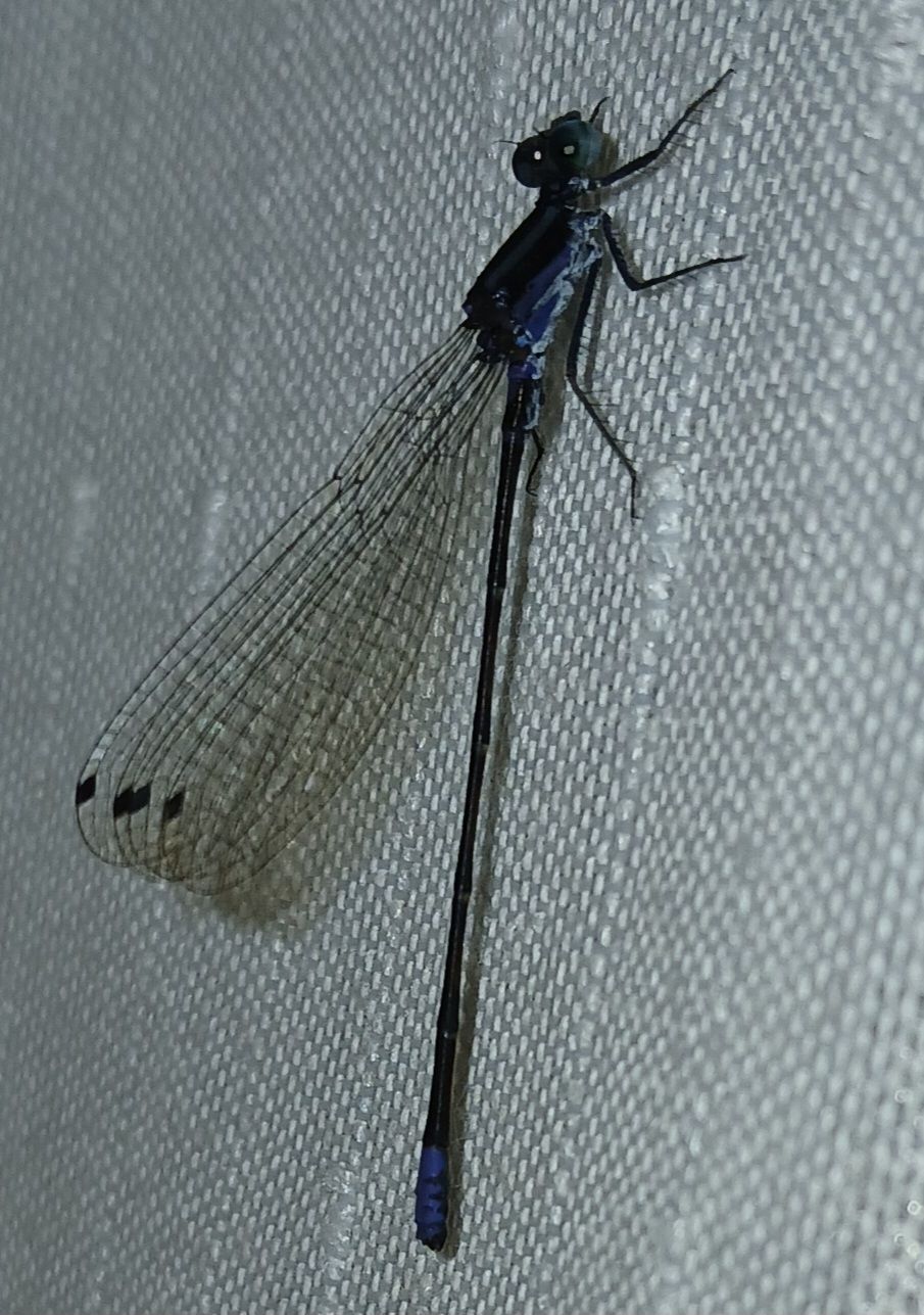 20250902_115942.jpg