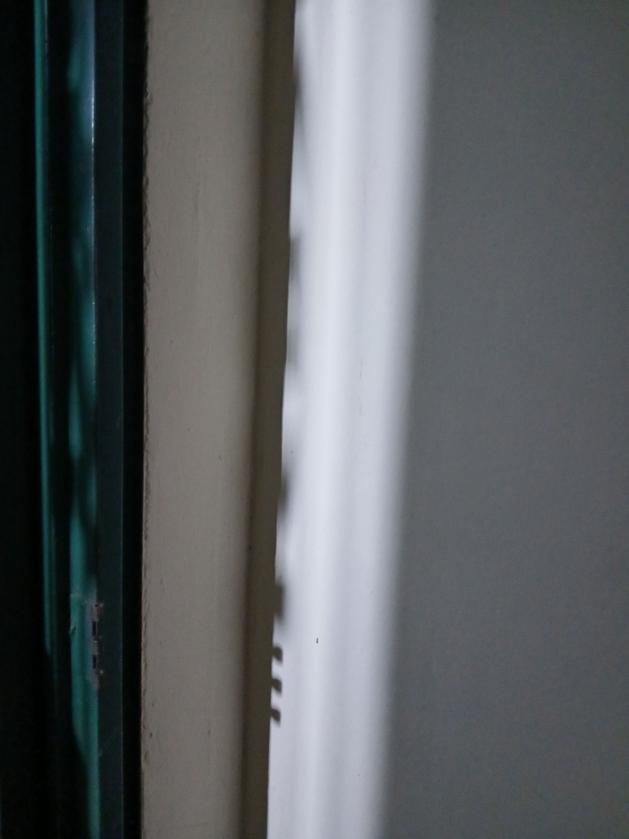 20250807_054314.jpg