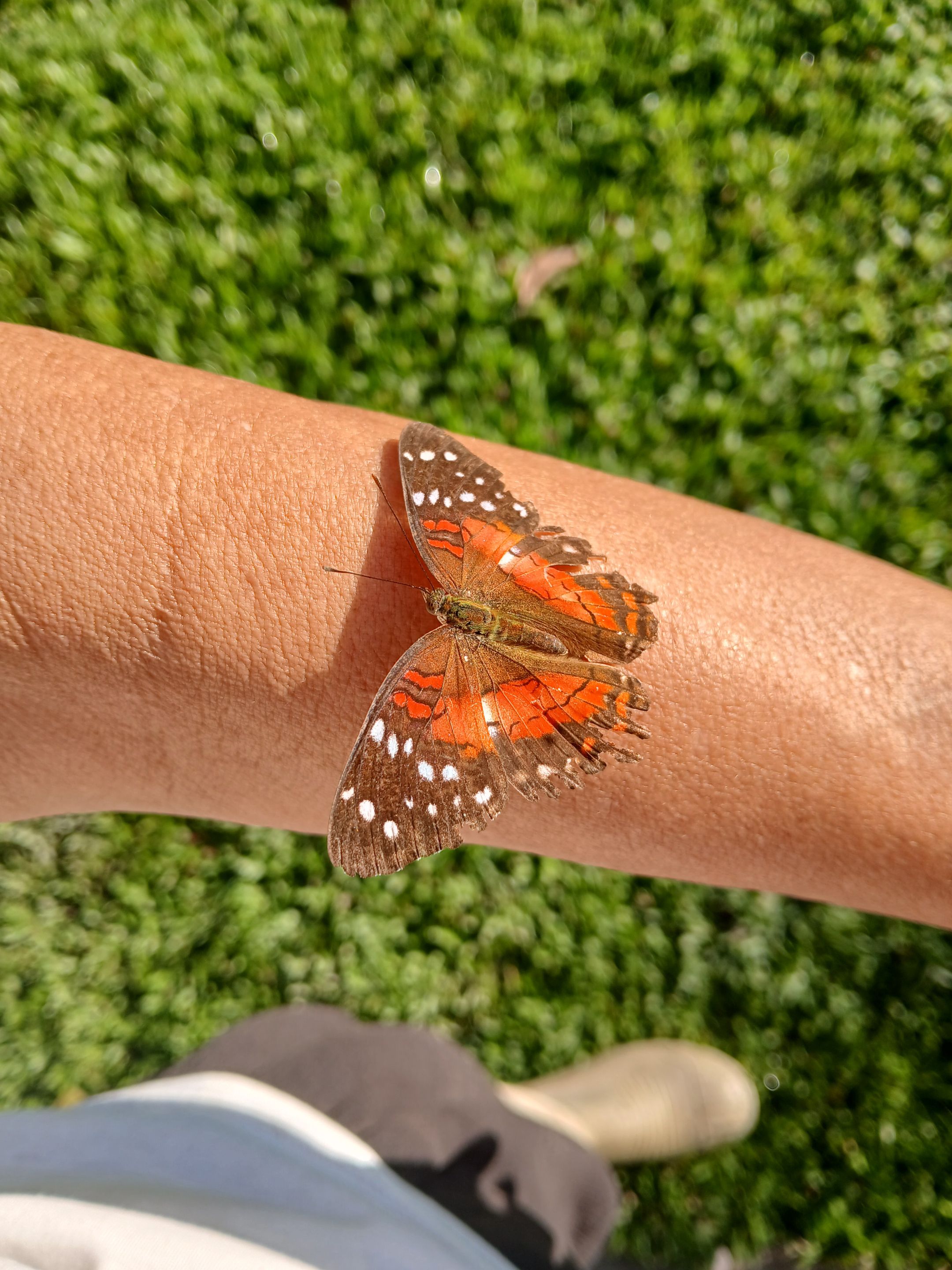 20250909_075458.jpg
