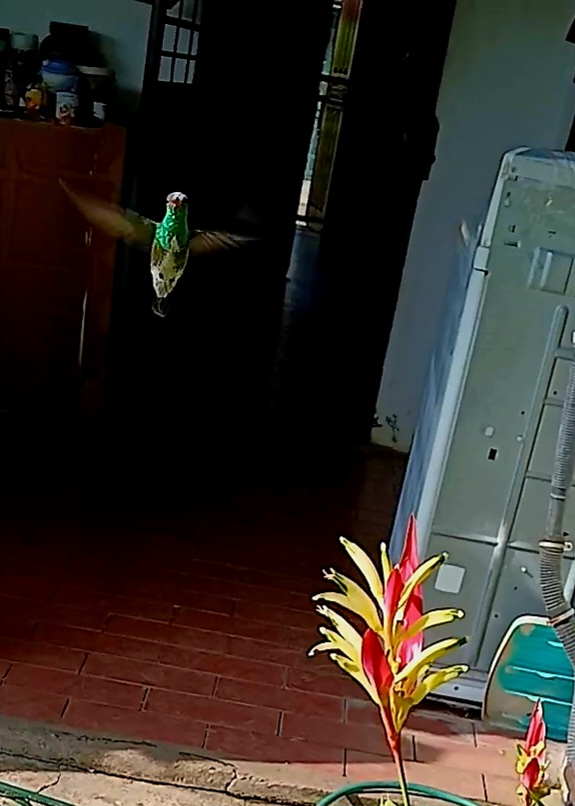 20250920_082818(15).jpg