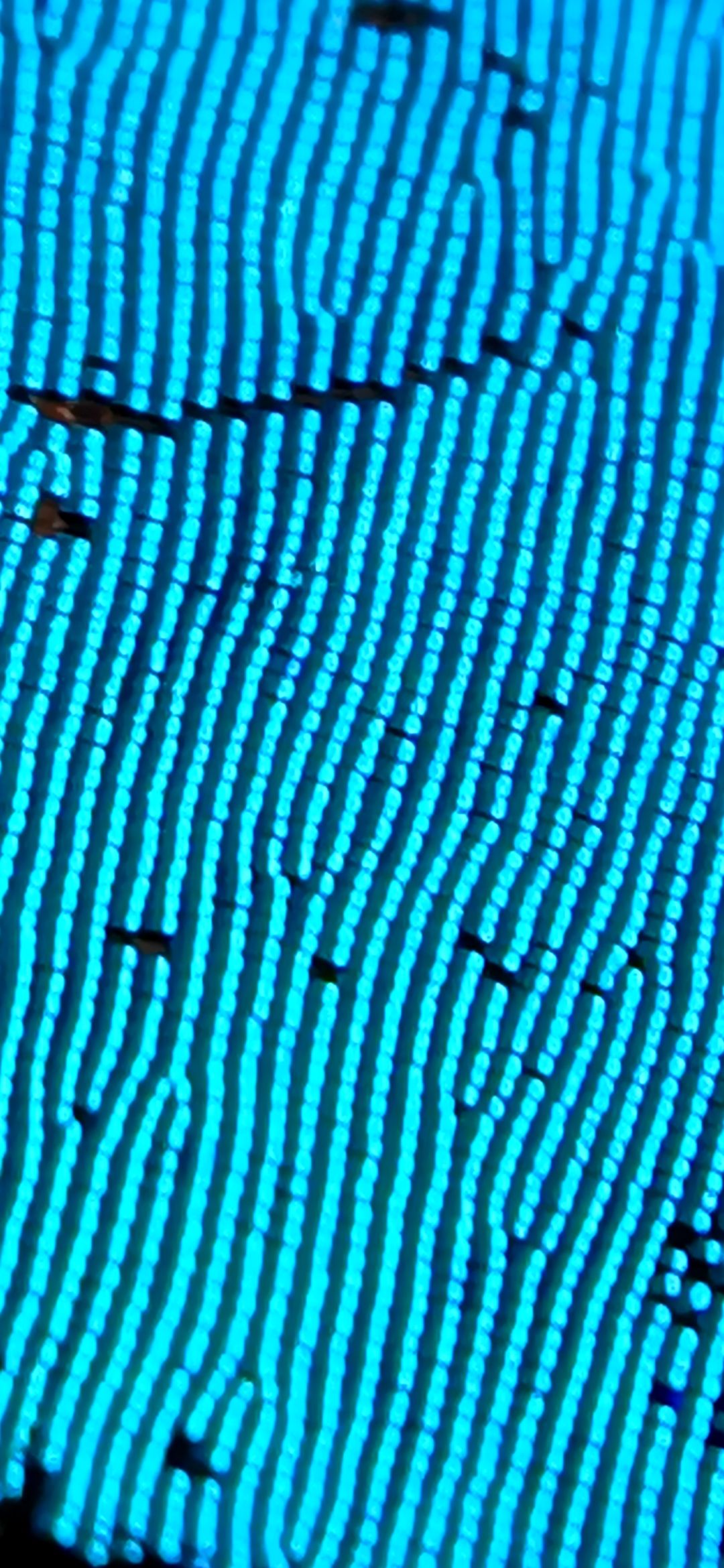20250809_093740.jpg