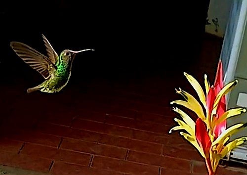20250920_082818(25)(1).jpg