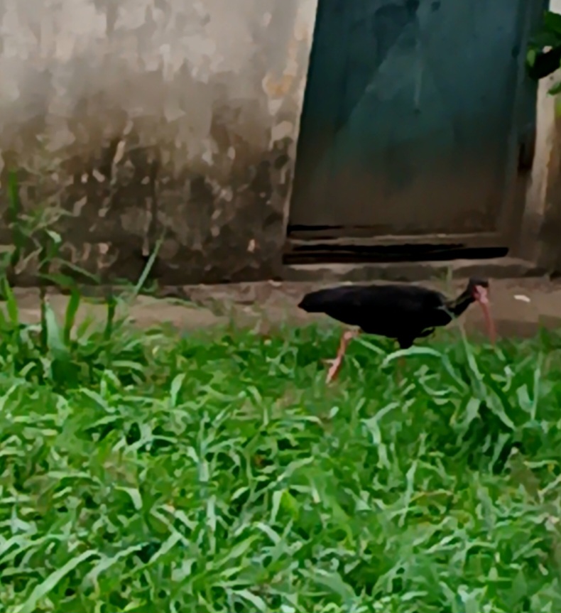 20250827_111618.jpg