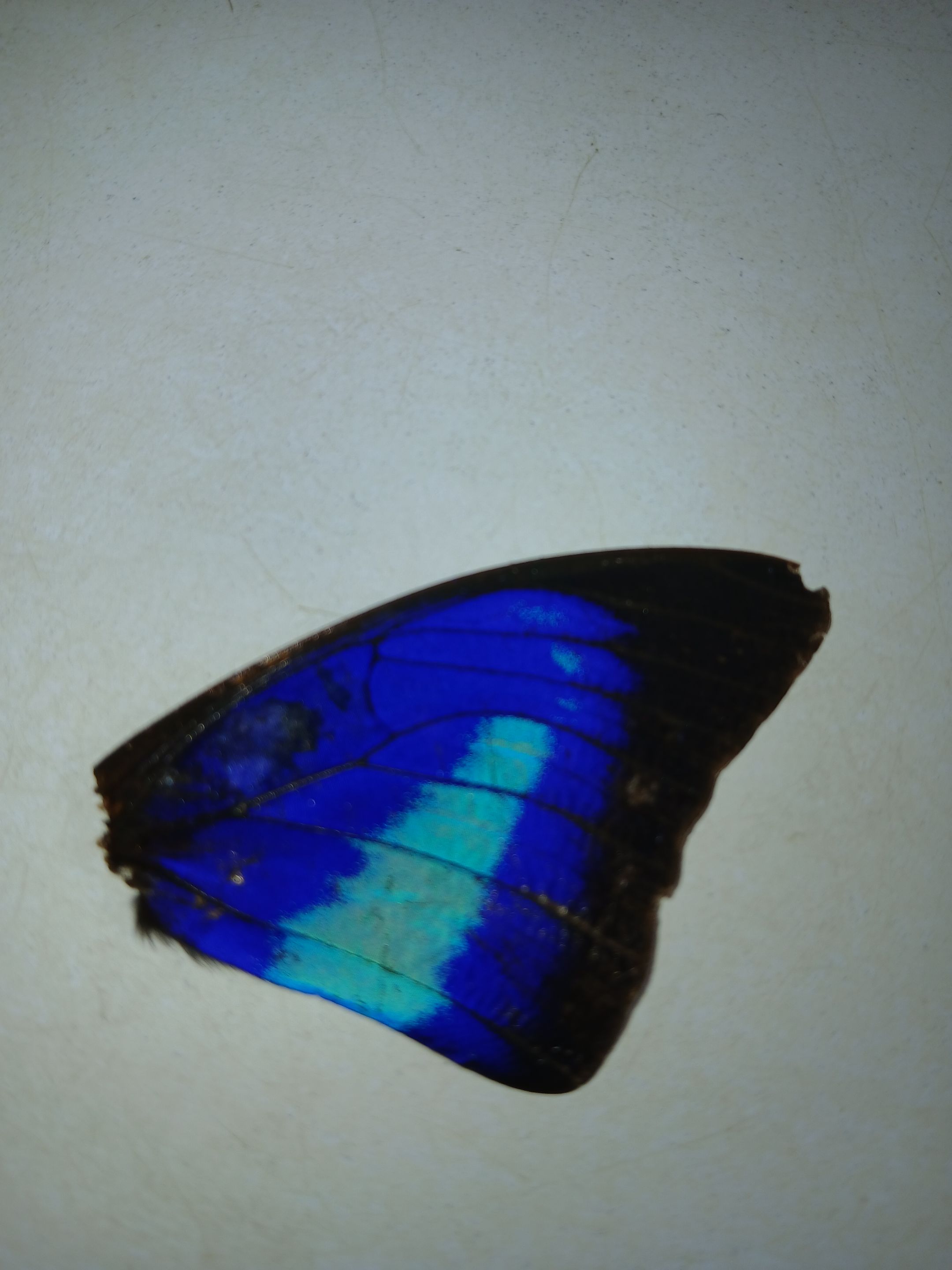 20250809_092032.jpg