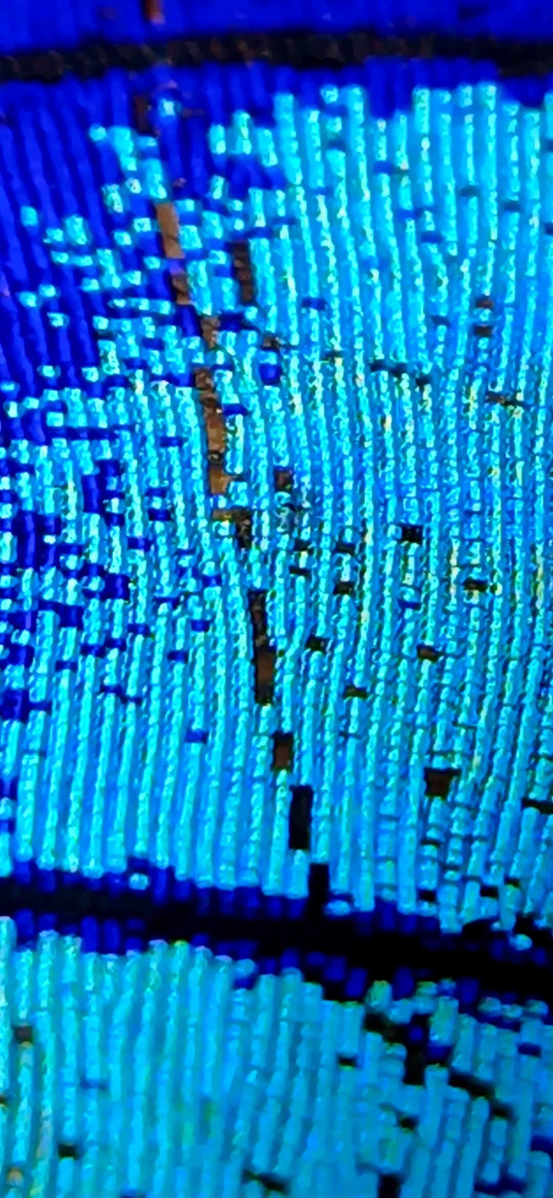 20250809_093311.jpg