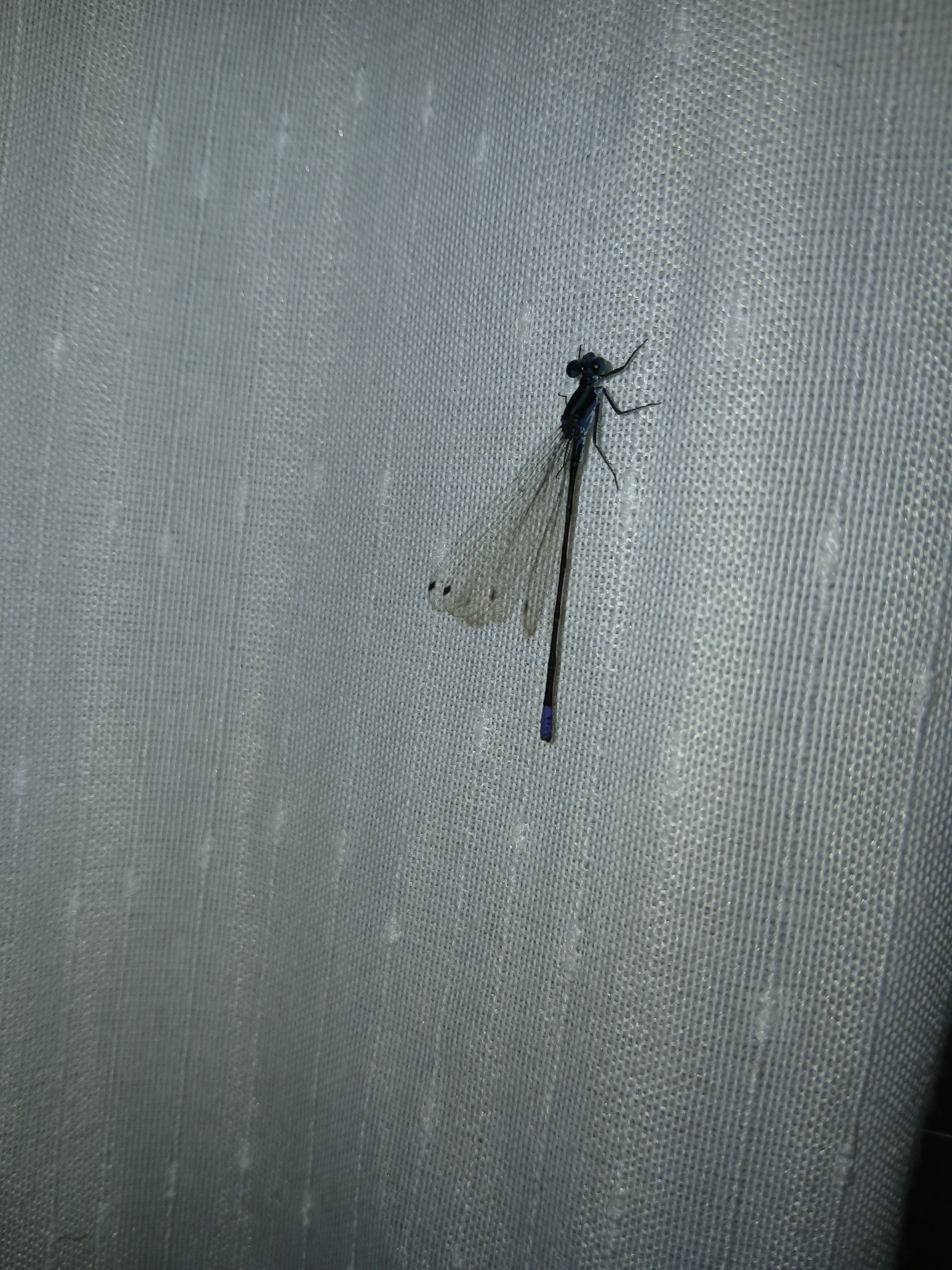 20250902_115952.jpg