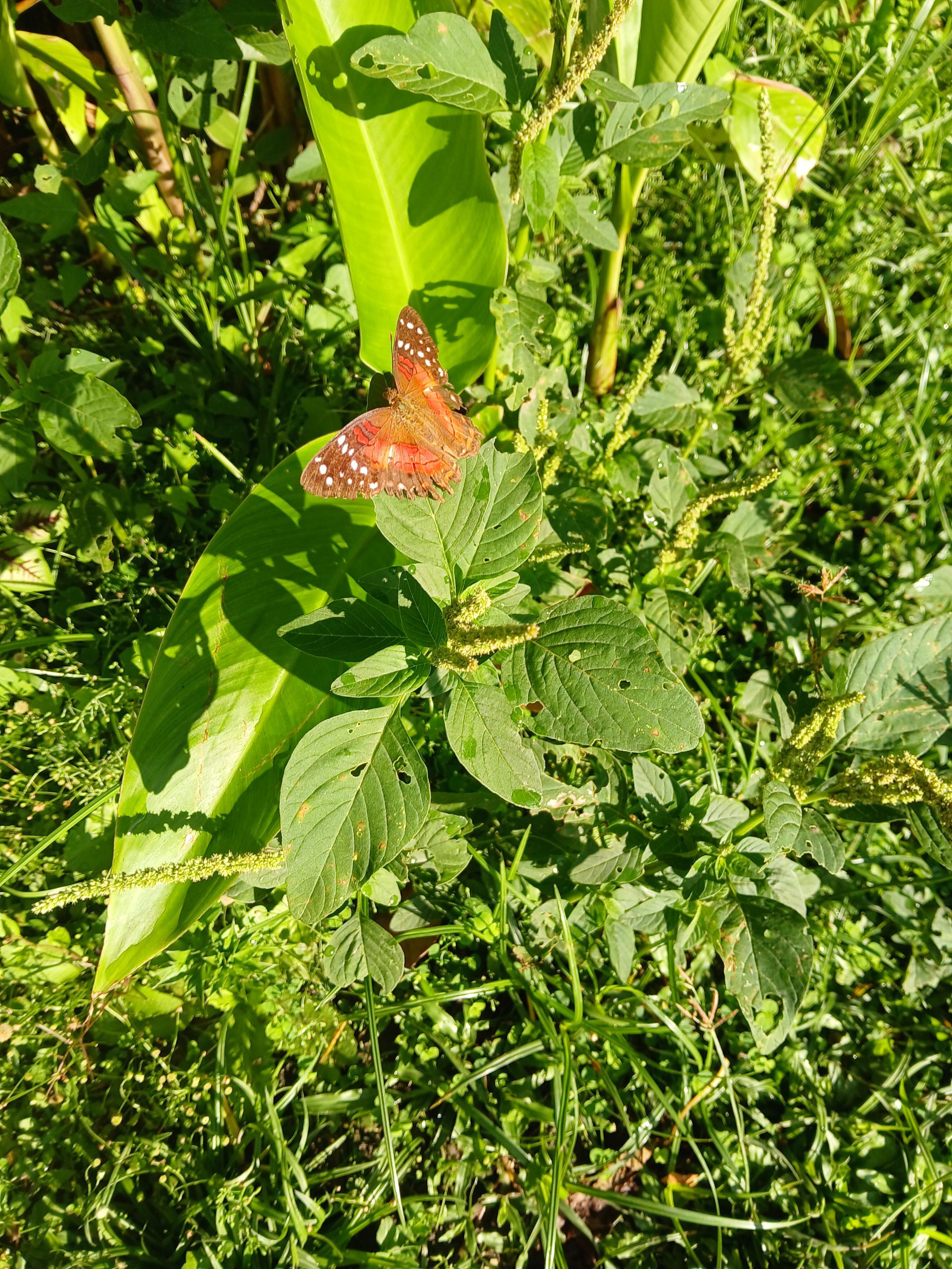 20250909_080056.jpg