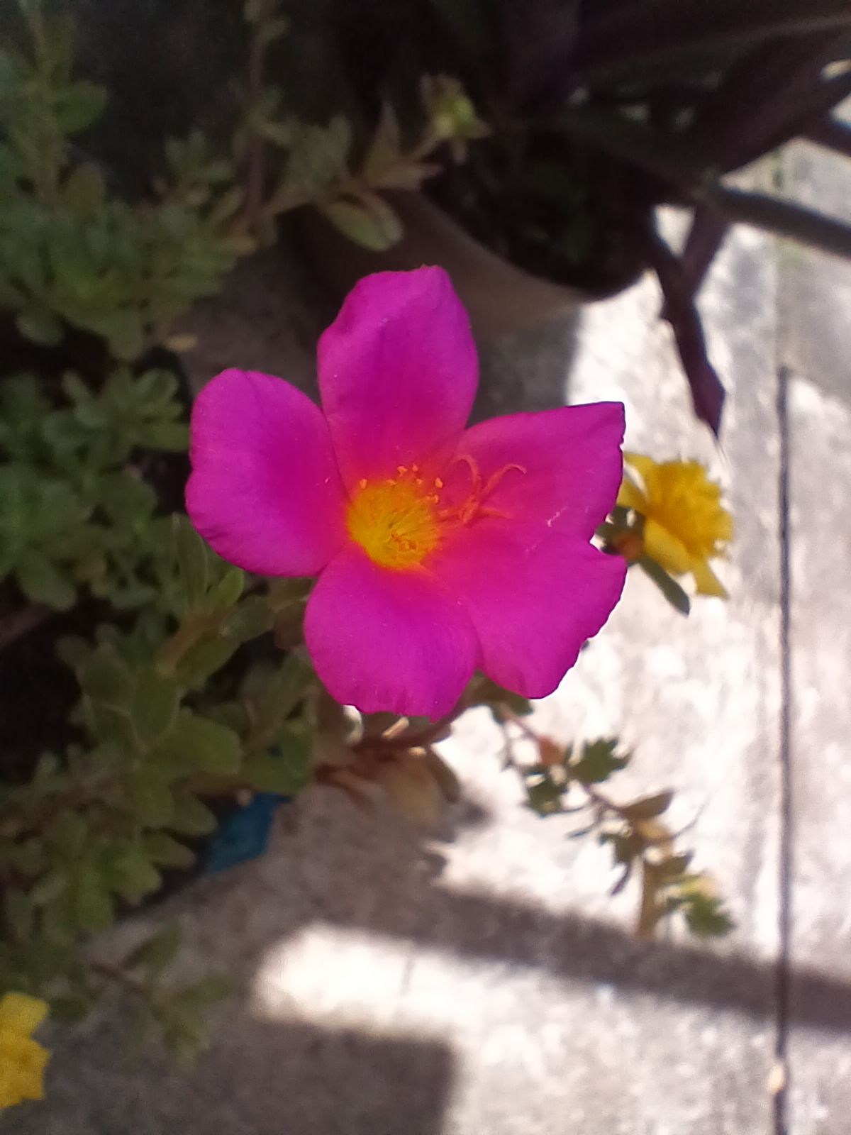 20250805_121350.jpg
