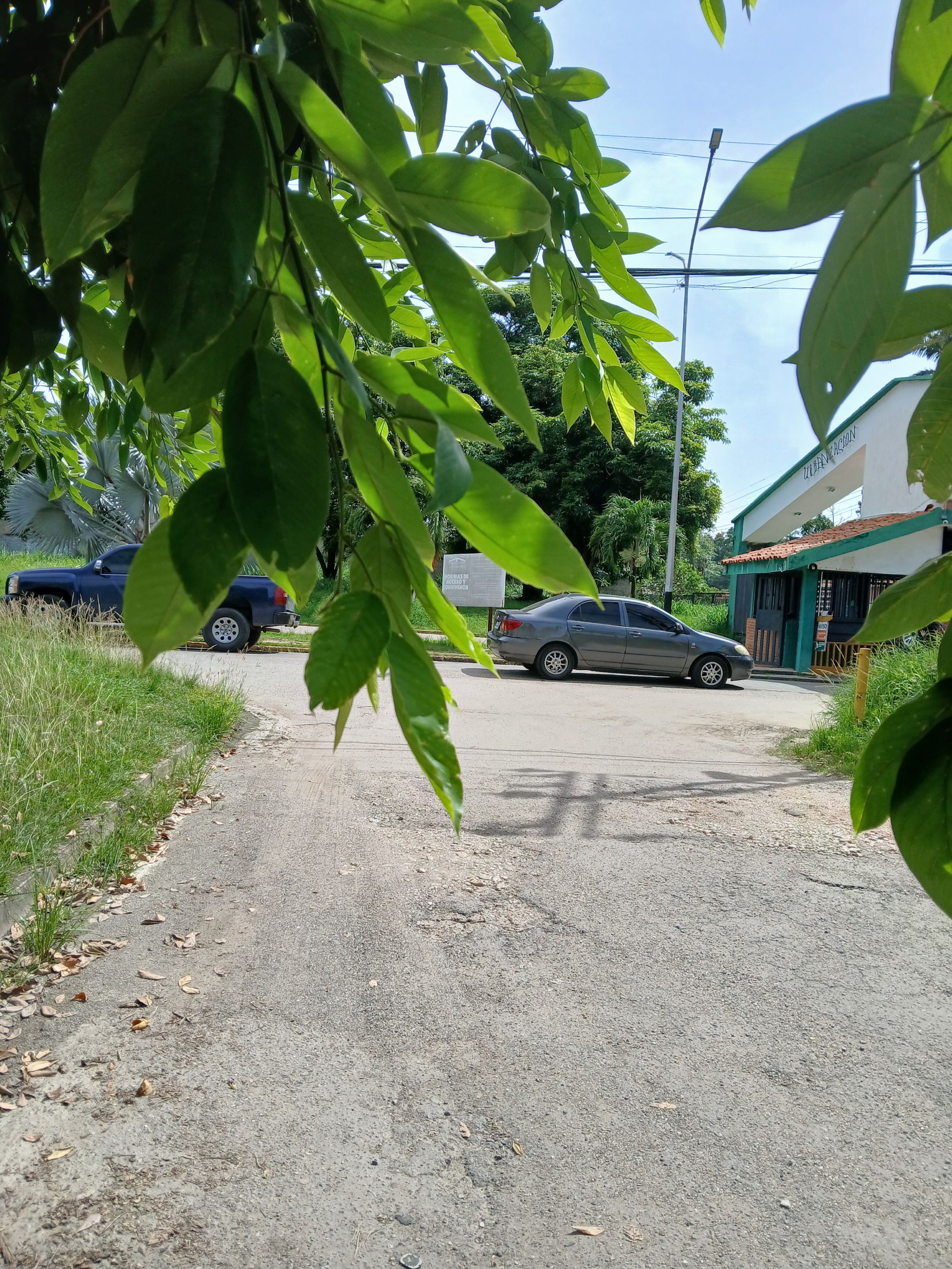 20250813_101841.jpg