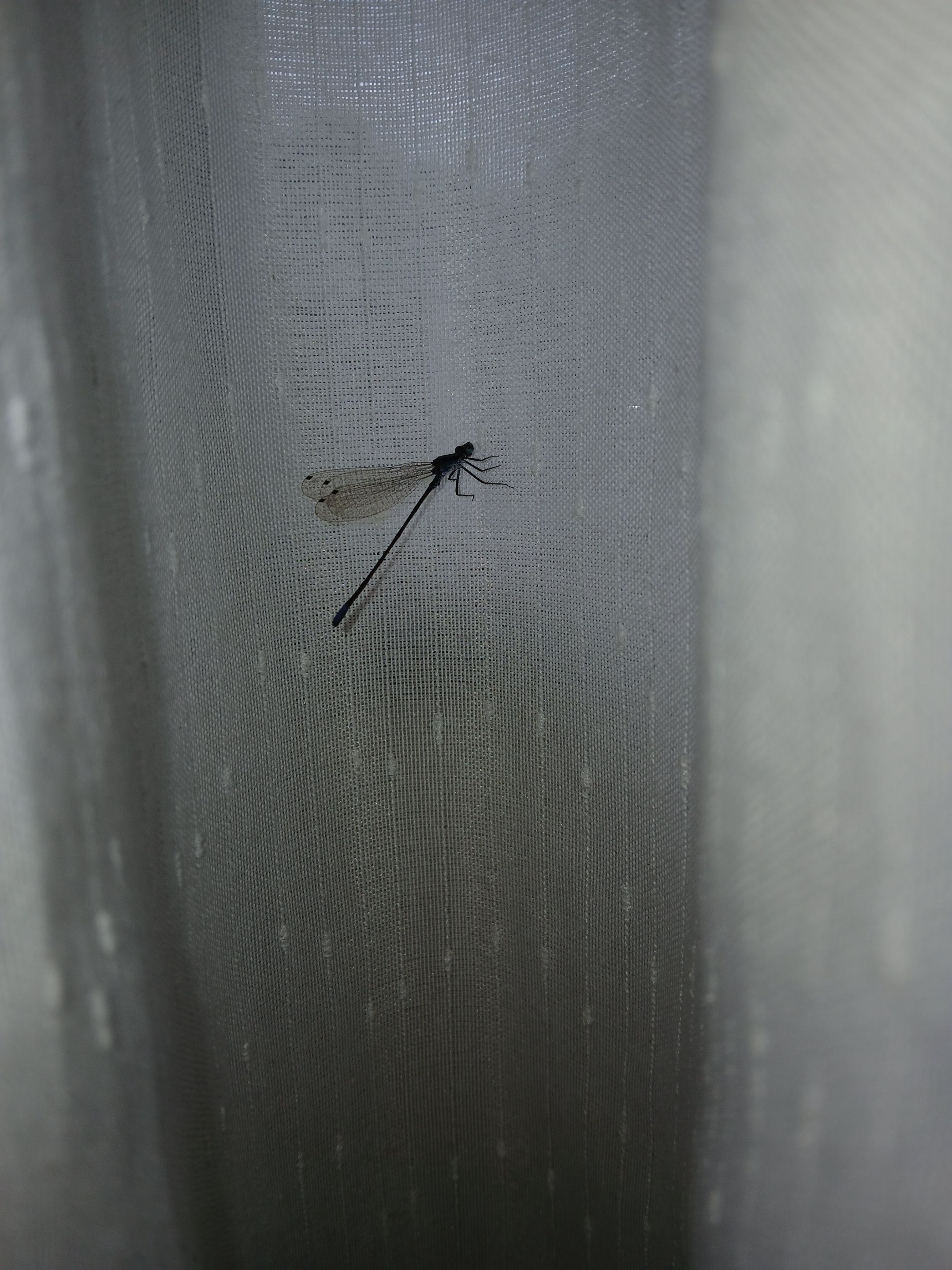 20250902_115850.jpg