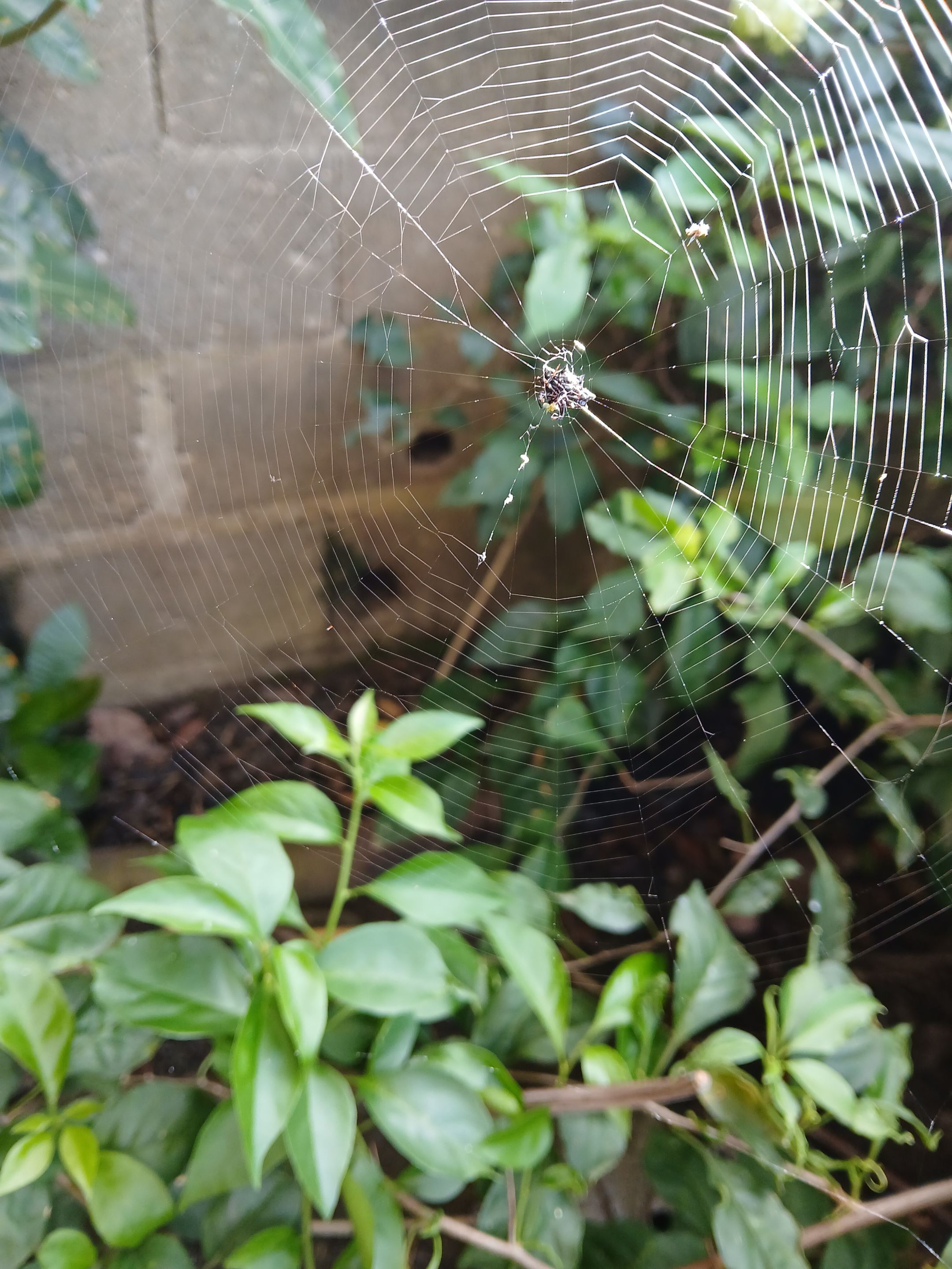 20250902_082621.jpg