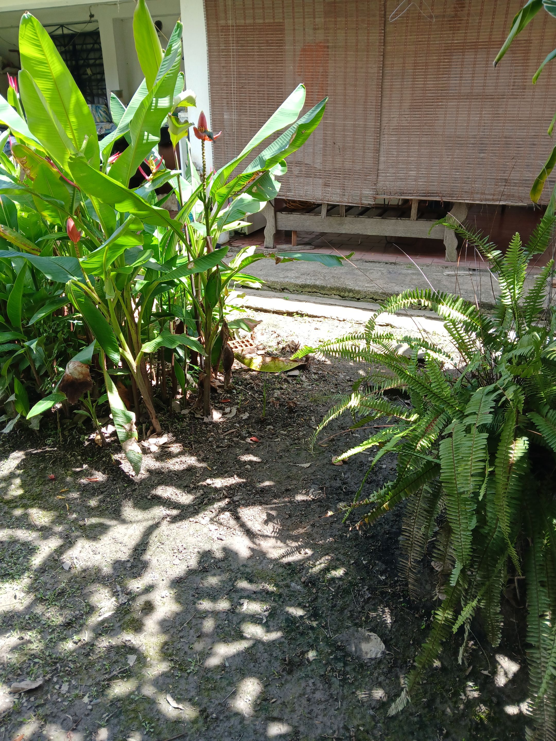 20250804_141633.jpg