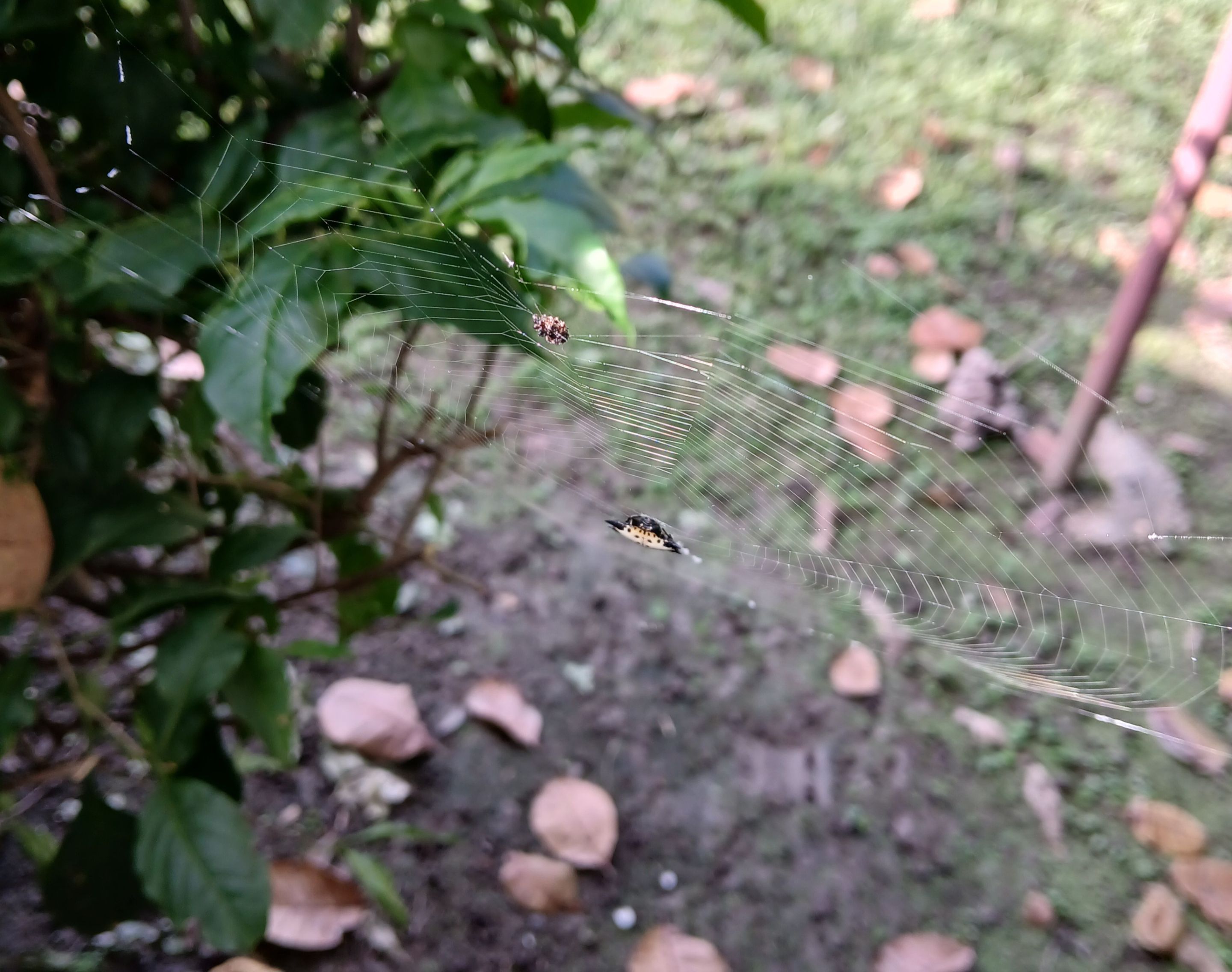 20250920_081541.jpg
