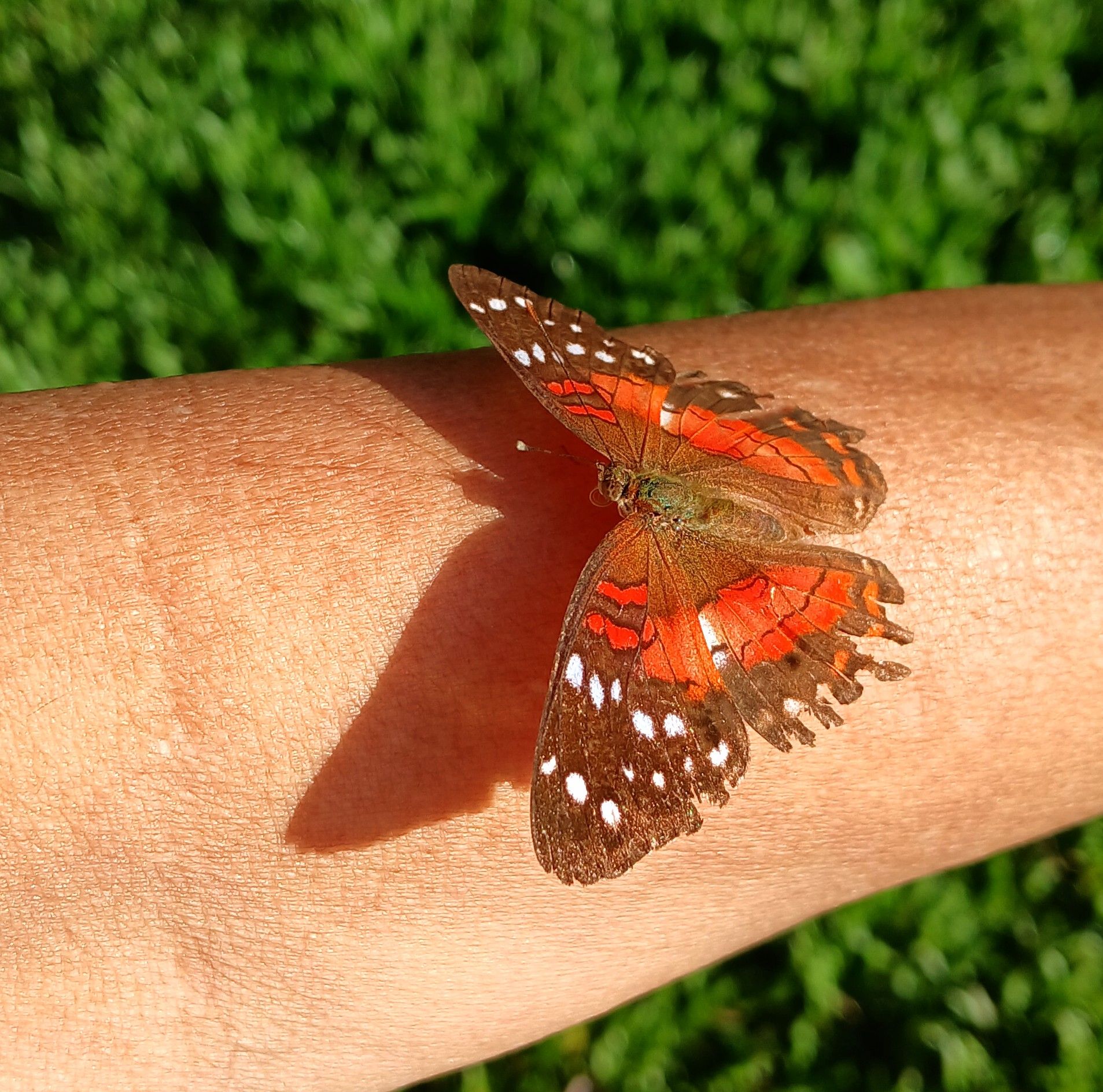 20250909_075512.jpg