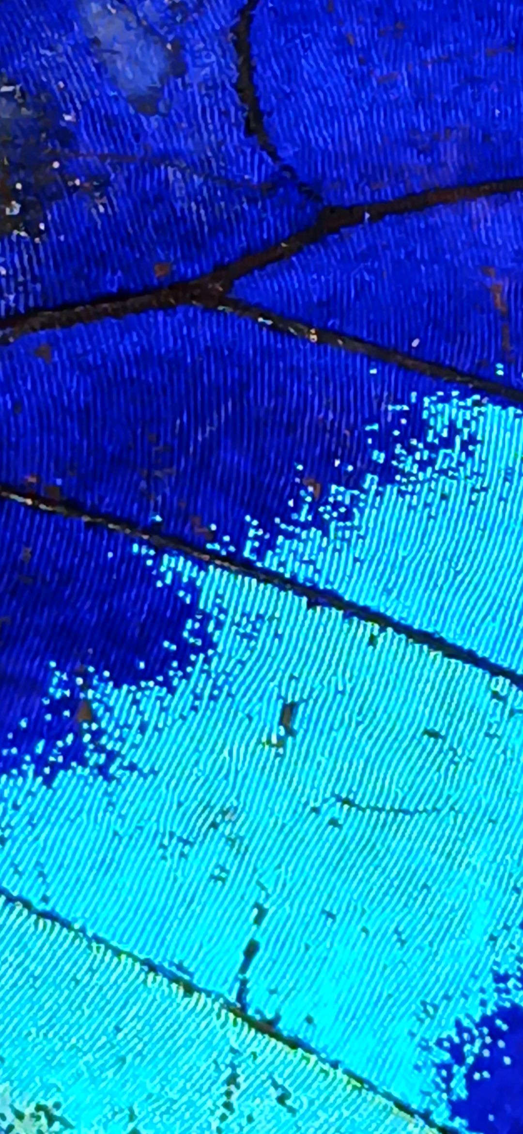 20250809_092543.jpg