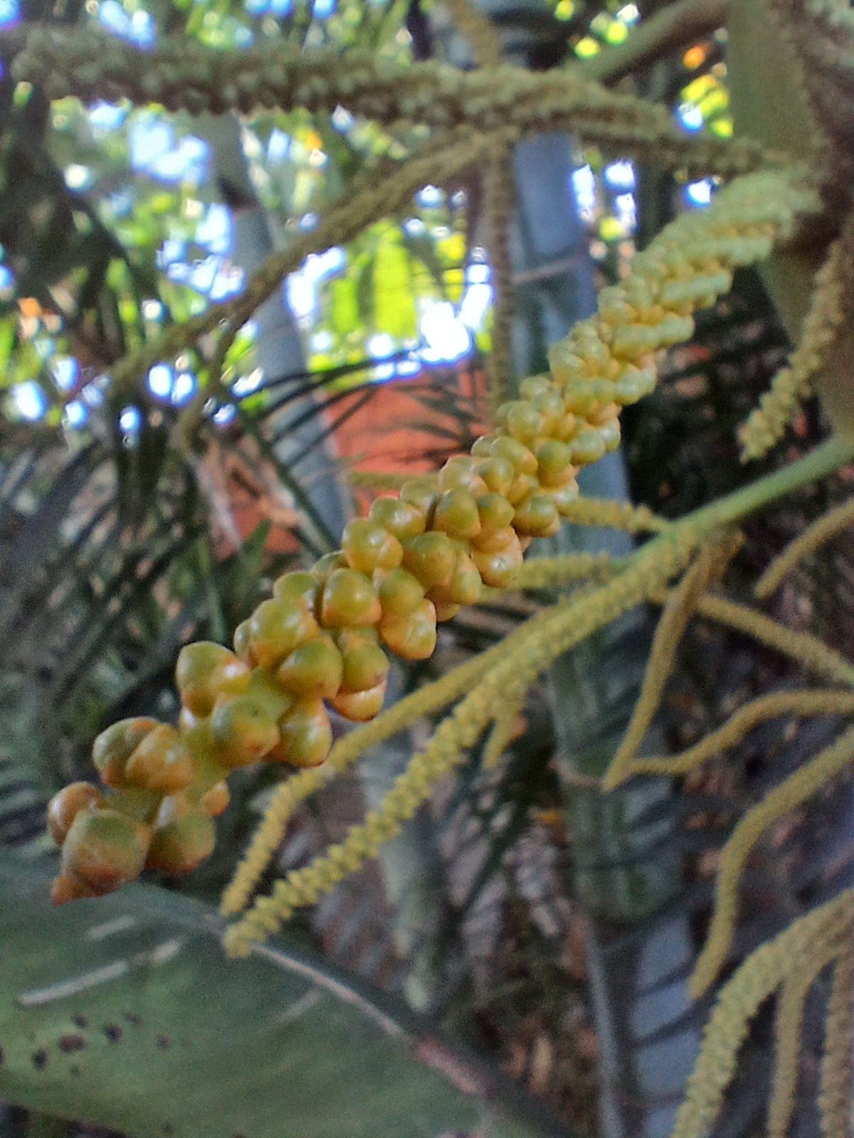 20250213_082008.jpg