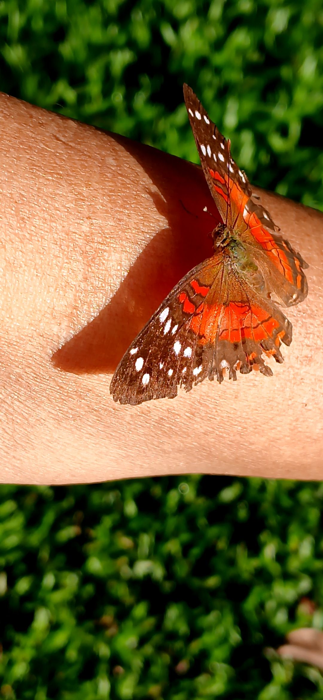 20250909_075632.jpg