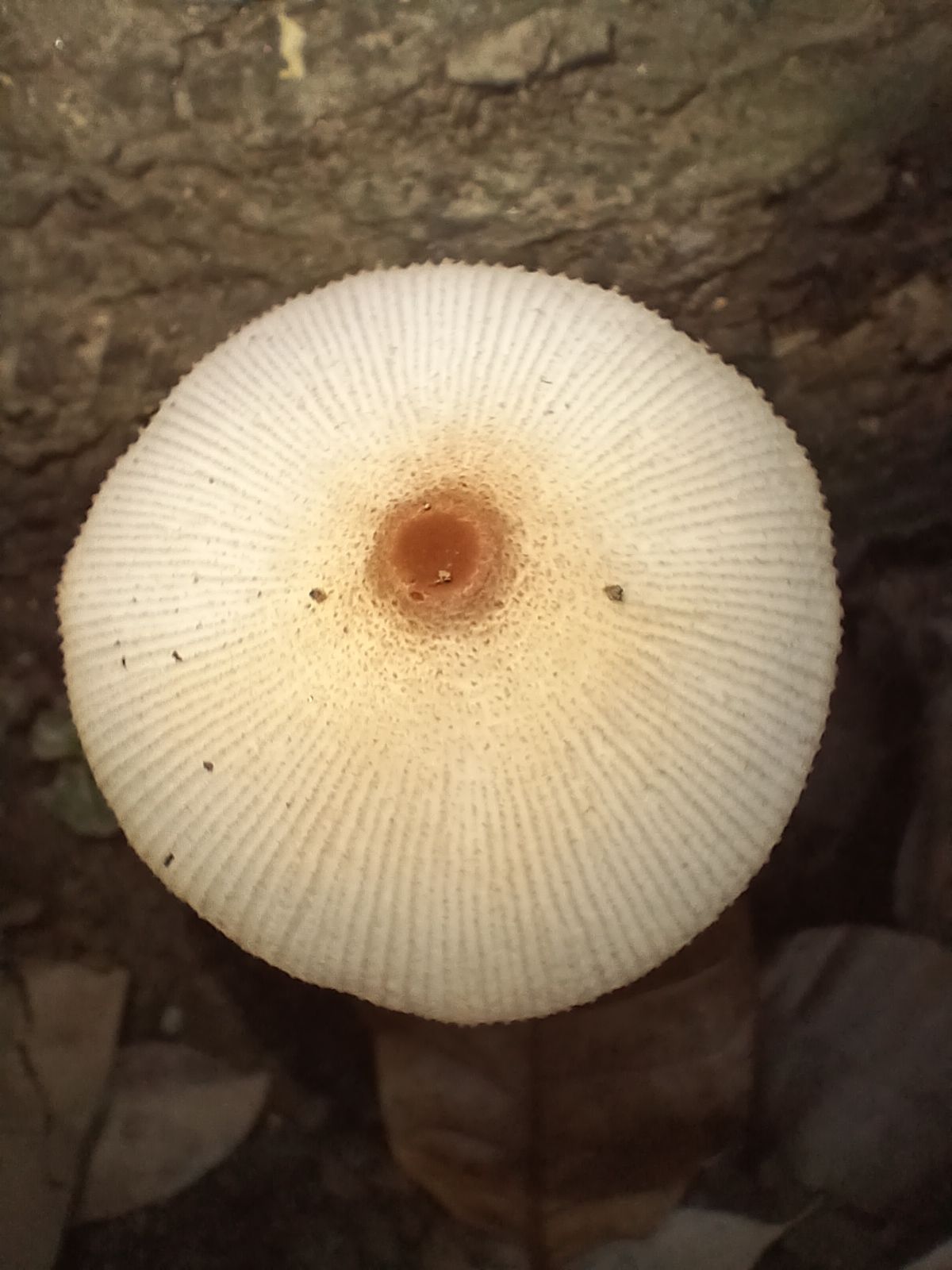 20250920_082153.jpg