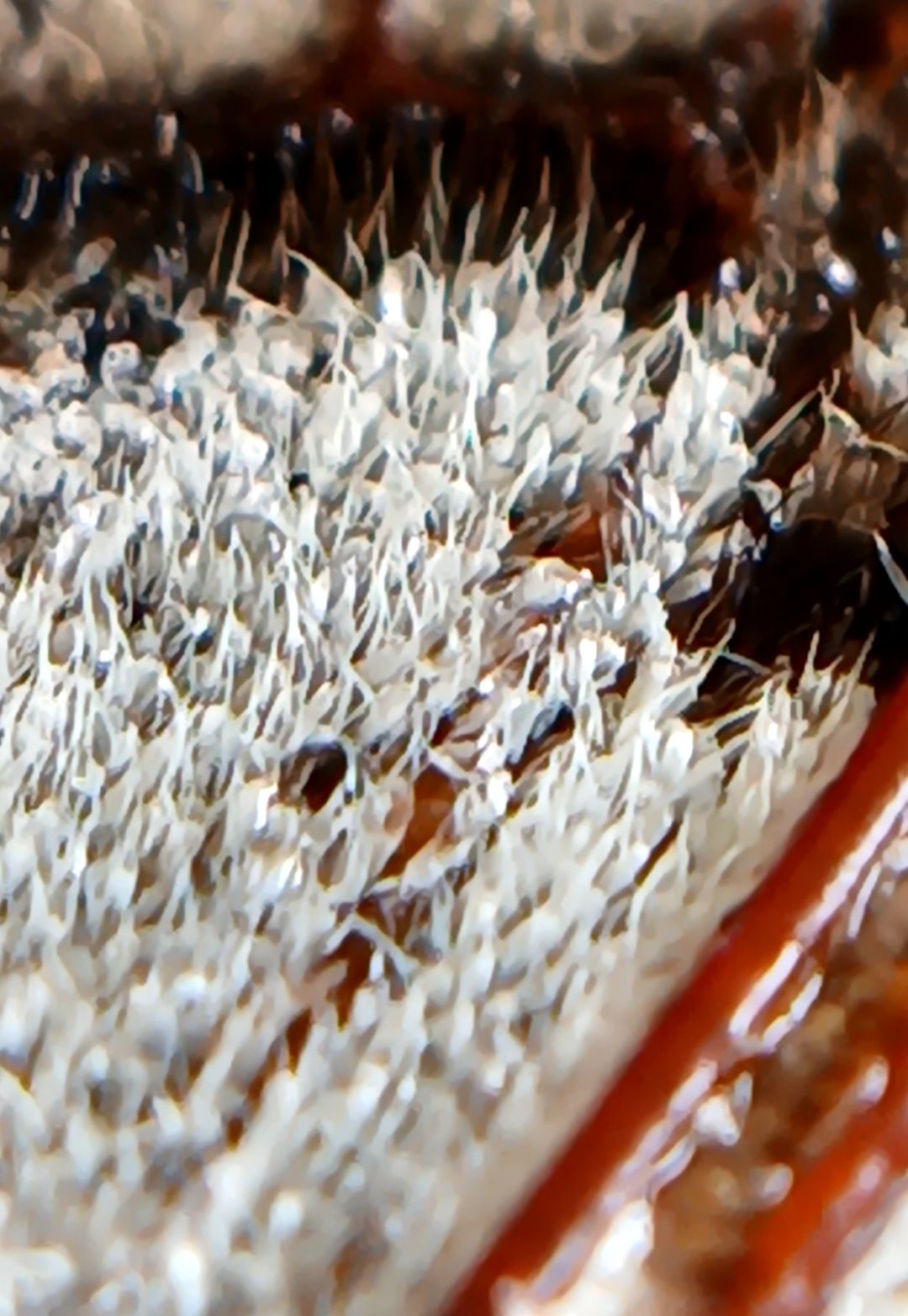 20250809_094416.jpg
