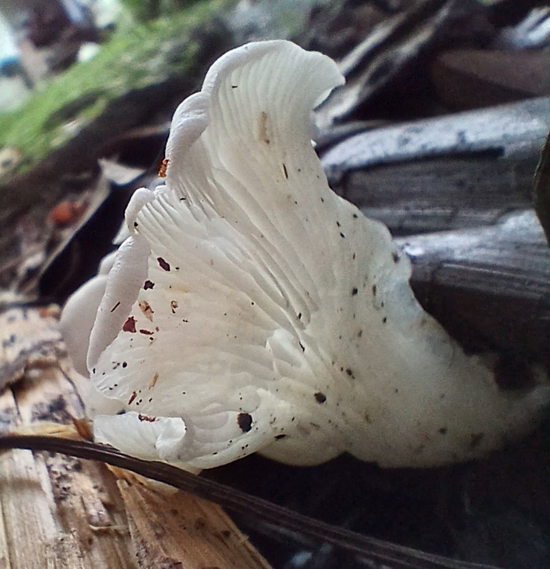 20250906_164647.jpg
