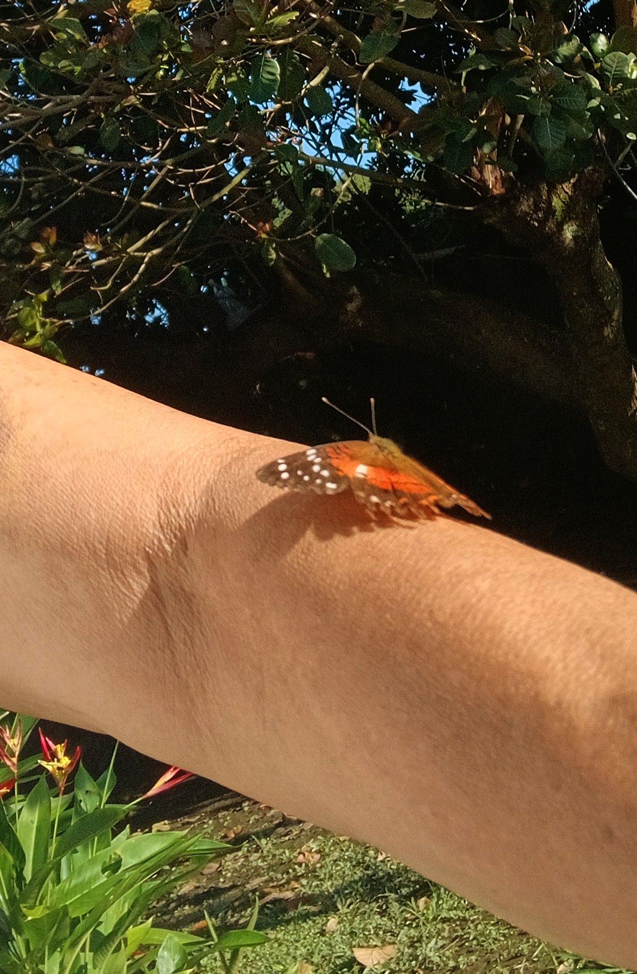 20250909_080018.jpg