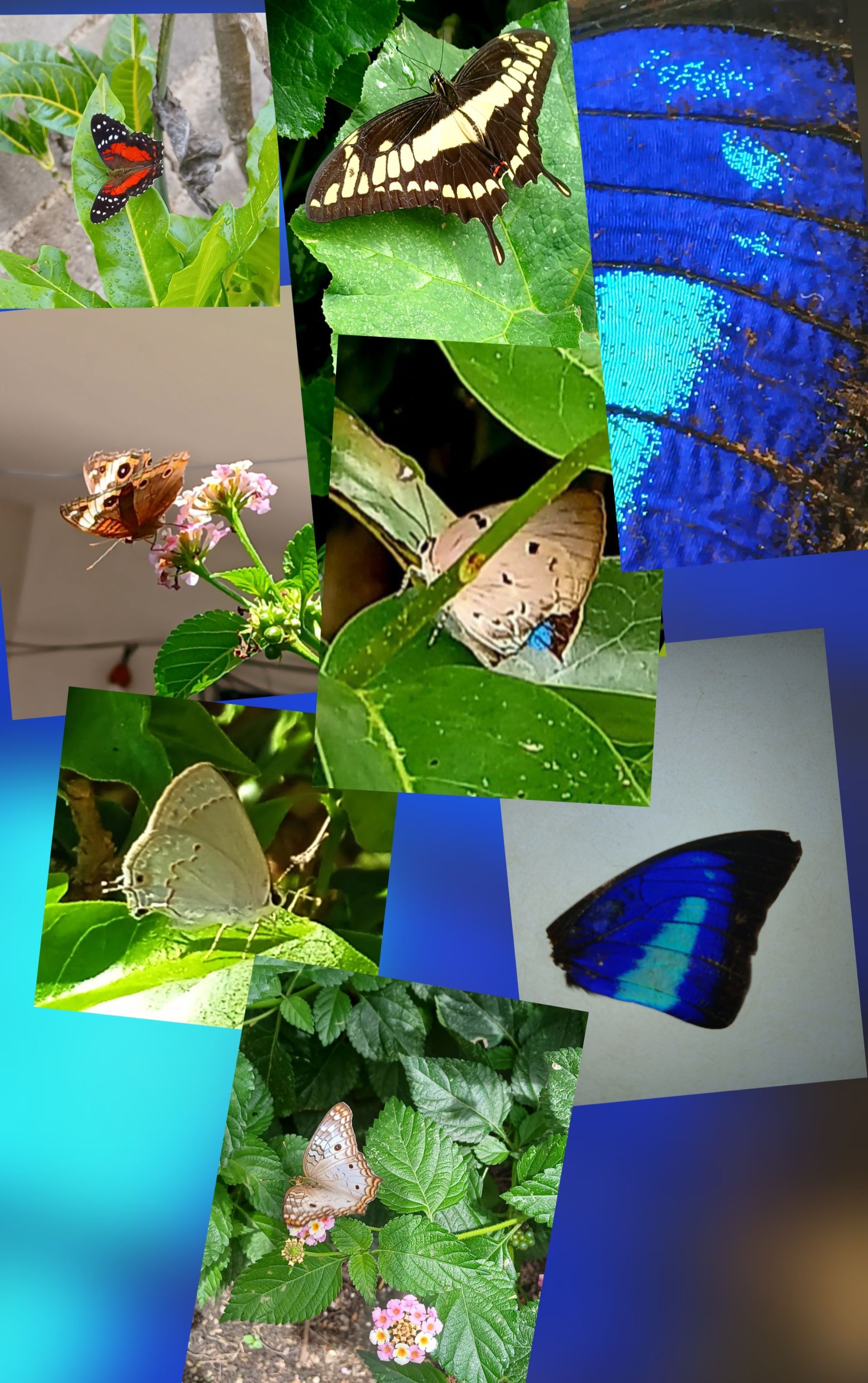 20250814_132137.jpg