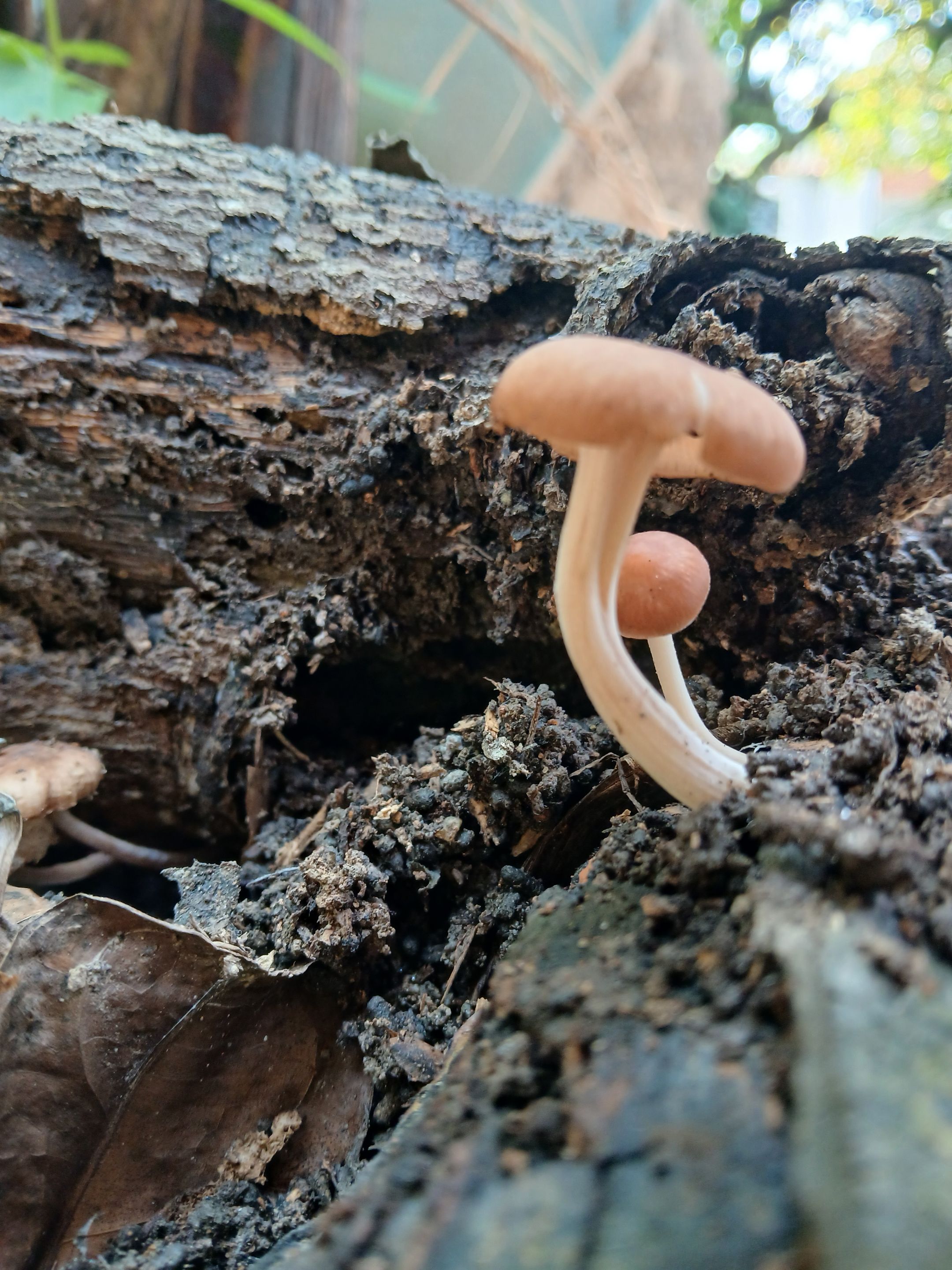 20250912_103743.jpg