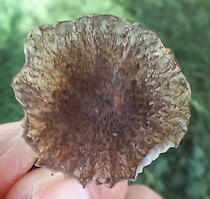 20250905_093059.jpg