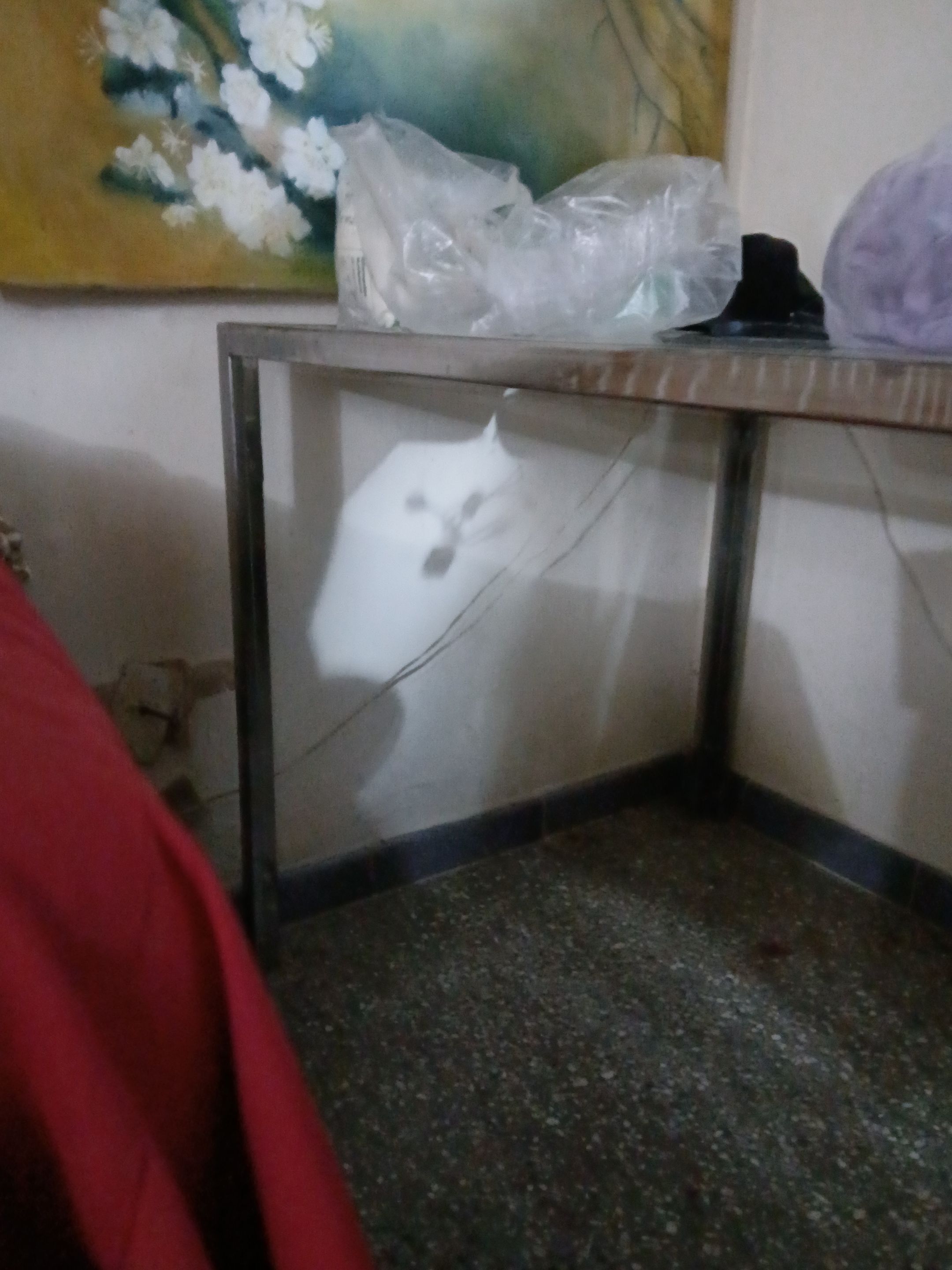 20250908_053140.jpg
