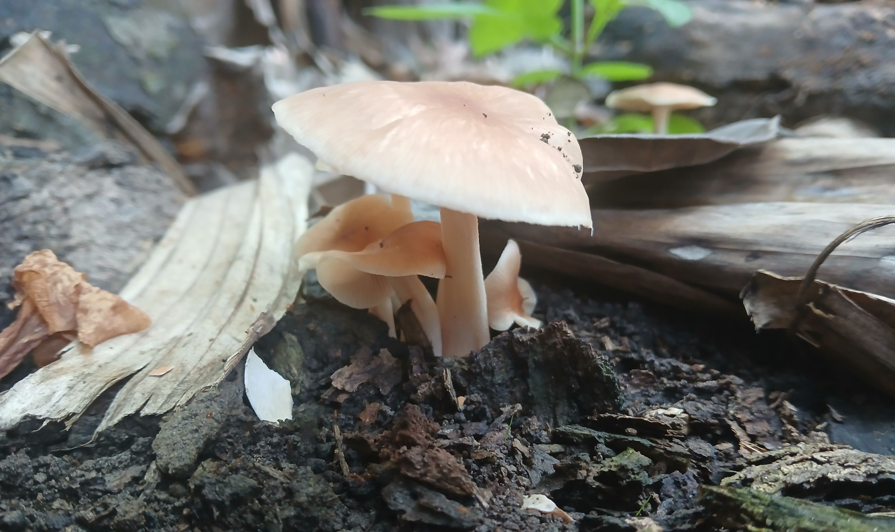20250912_085216.jpg