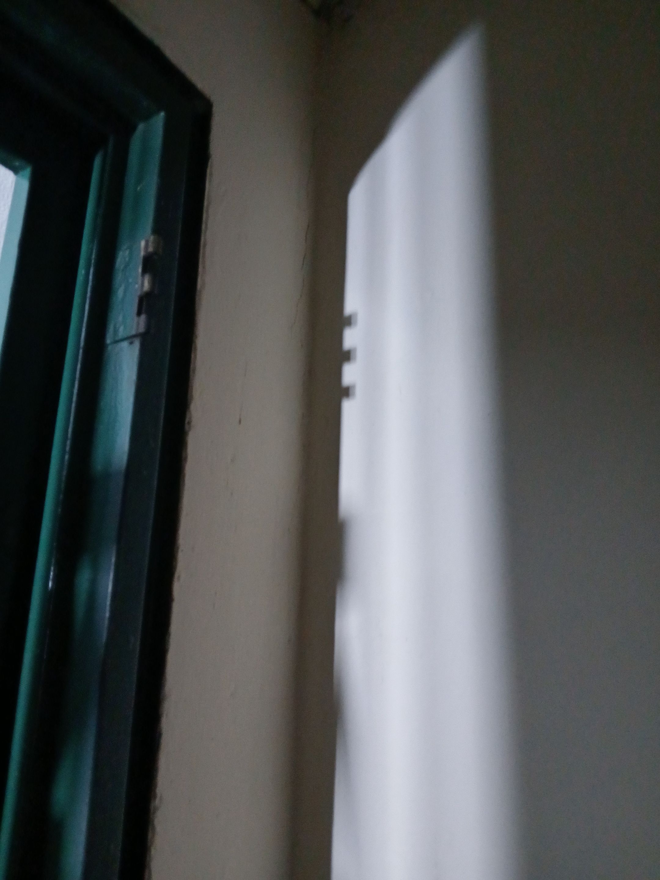 20250807_054327.jpg